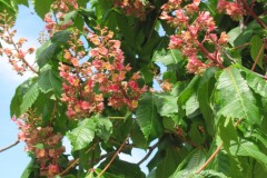 1980-01-01_00-03-48-2