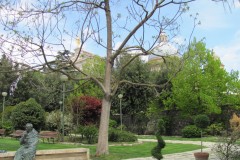 1980-01-01_00-06-13-2