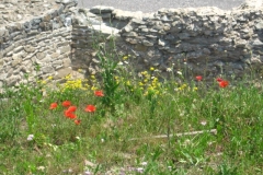 2015-07-17_14-27-04-4