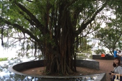 2016-07-22_11-54-06-2