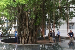 2016-07-22_11-58-00-2