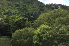 2016-07-22_13-01-42-2